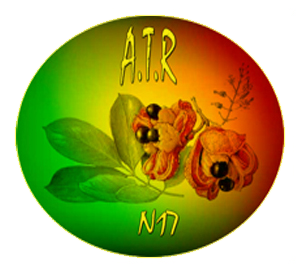Ackee Tree Logo