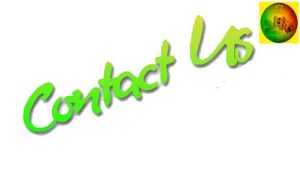 contact_us 
